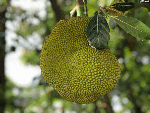 微信圖片_20210625100847.gif 微信圖片_20210625100847.gif