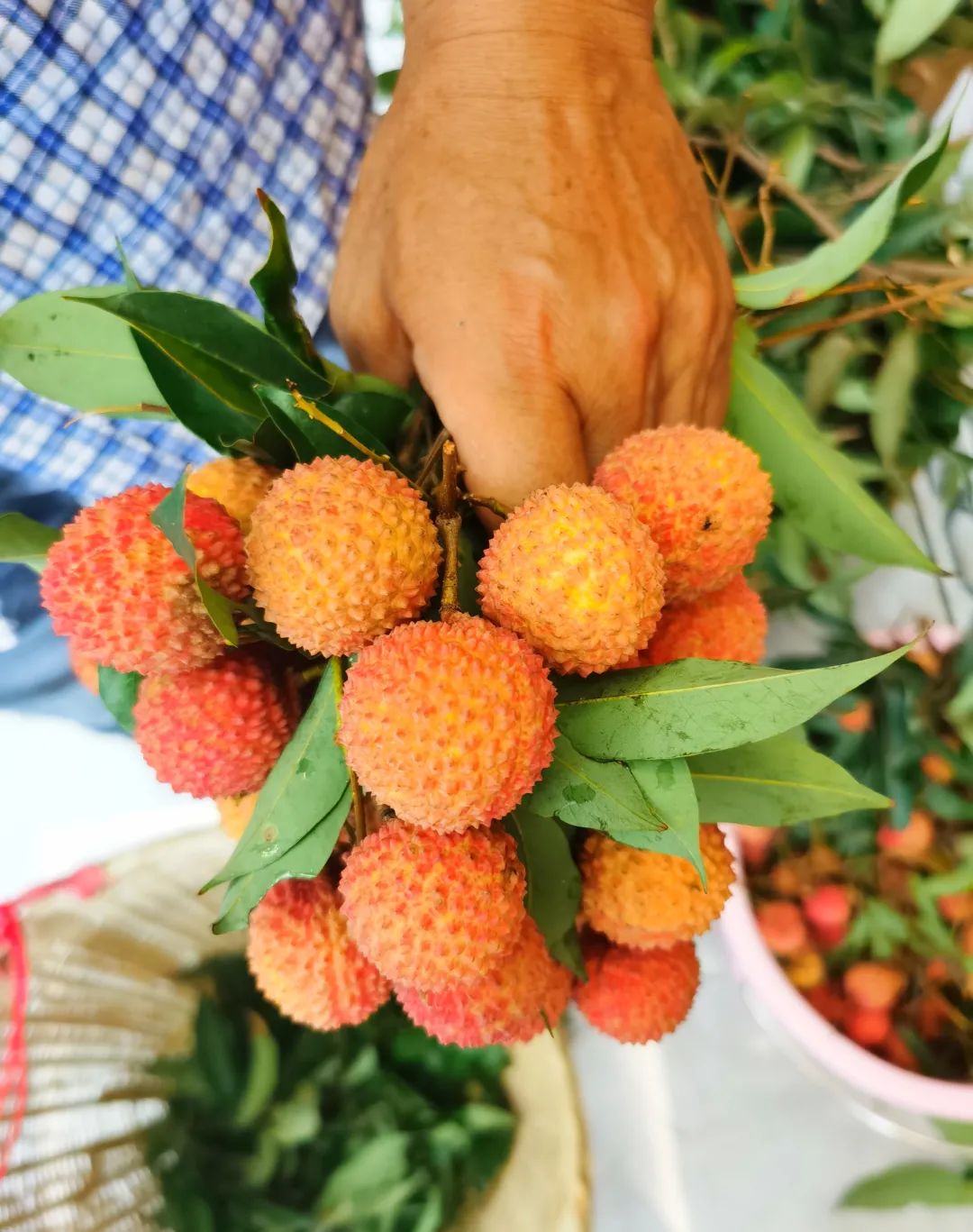 微信圖片_20210625144018.jpg 微信圖片_20210625144018.jpg